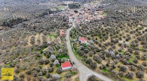 Arsa-Tarla