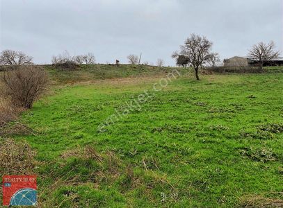 Arsa-Bağ & Bahçe