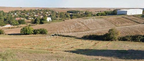 Arsa-Tarla