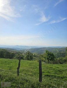 Arsa-Tarla