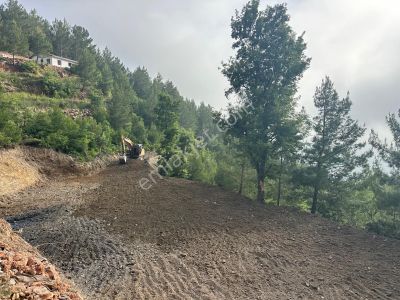 Arsa-Tarla
