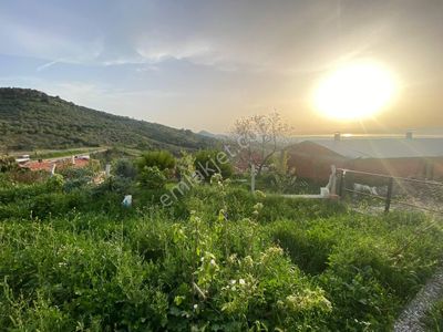 Arsa-Konut İmarlı