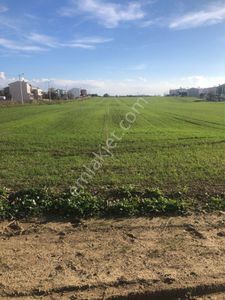 Arsa-Villa İmarlı