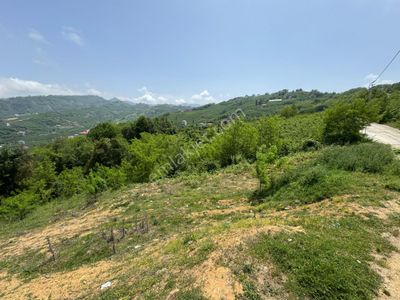 Arsa-Tarla