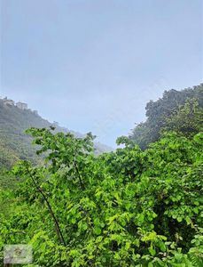 Arsa-Tarla