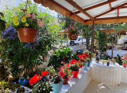 Konut-Yazlık