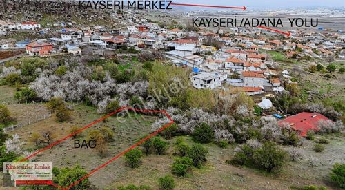 Arsa-Bağ & Bahçe