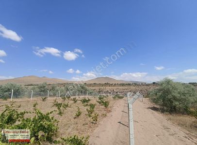 Arsa-Bağ & Bahçe