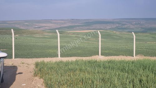 Arsa-Tarla