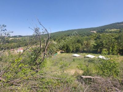 Arsa-Tarla