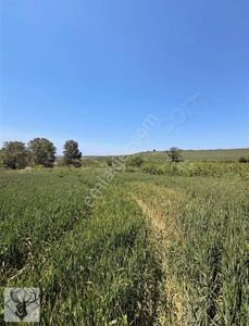 Arsa-Konut İmarlı