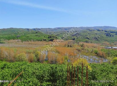 Arsa-Konut İmarlı
