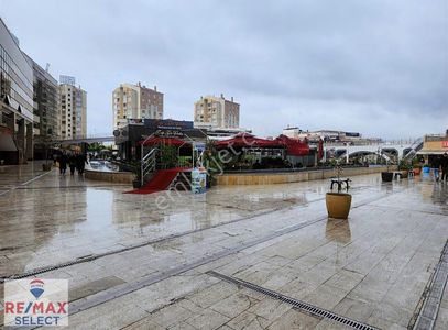 İşyeri-Dükkan & Mağaza
