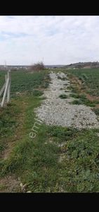 Arsa-Bağ & Bahçe