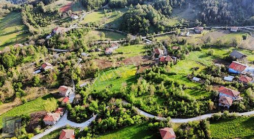 Arsa-Tarla