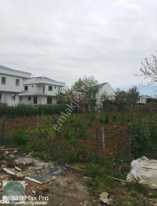Arsa-Villa İmarlı