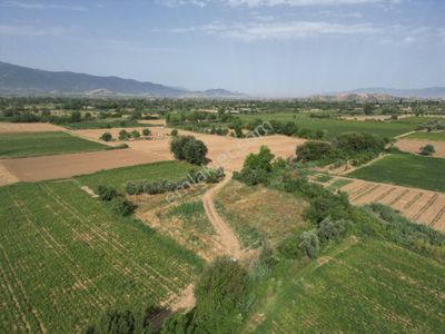 Arsa-Tarla