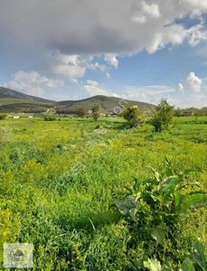 Arsa-Bağ & Bahçe