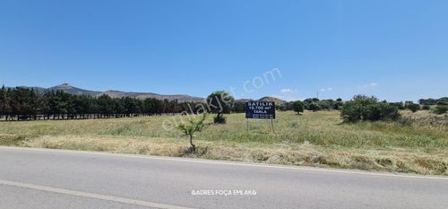 Arsa-Tarla