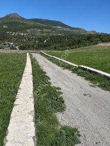 Arsa-Tarla