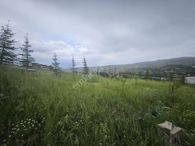Arsa-Tarla