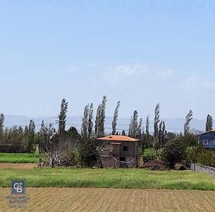 Arsa-Bağ & Bahçe
