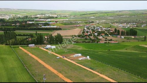 Arsa-Bağ & Bahçe