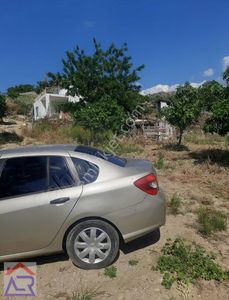 Arsa-Bağ & Bahçe