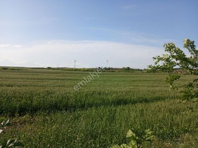 Arsa-Tarla