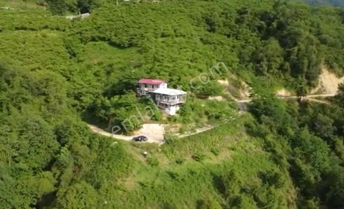 Arsa-Arazi