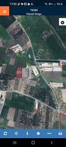 Arsa-Zeytinlik