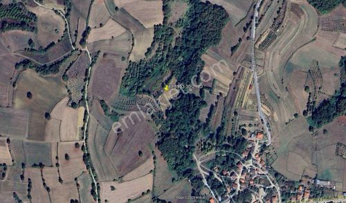 Arsa-Tarla