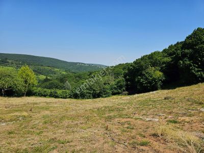 Arsa-Konut İmarlı