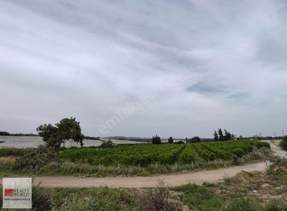 Arsa-Tarla