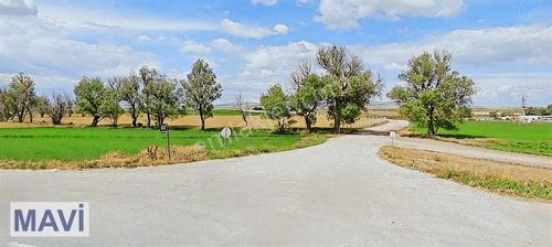 Arsa-Tarla