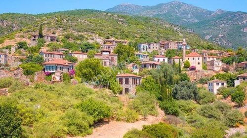 Arsa-Zeytinlik