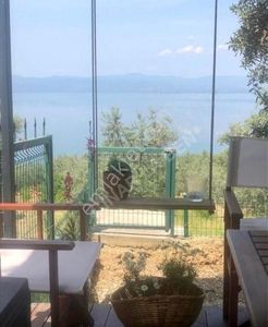 Arsa-Zeytinlik