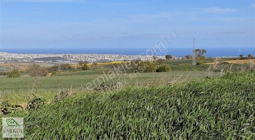 Arsa-Tarla