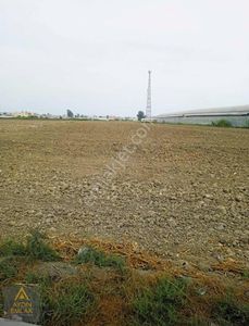 Arsa-Tarla