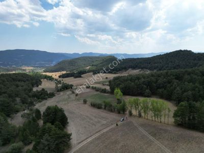 Arsa-Tarla