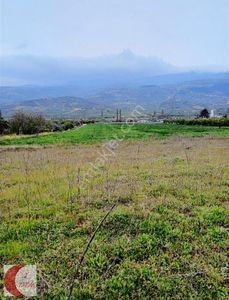 Arsa-Tarla