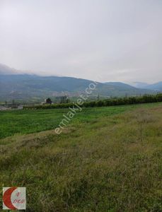 Arsa-Tarla