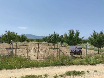 Arsa-Tarla
