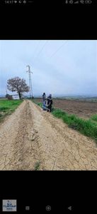 Arsa-Tarla