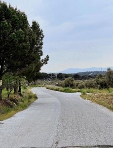 Arsa-Tarla
