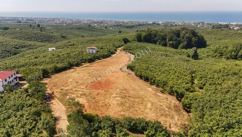 Arsa-Konut İmarlı