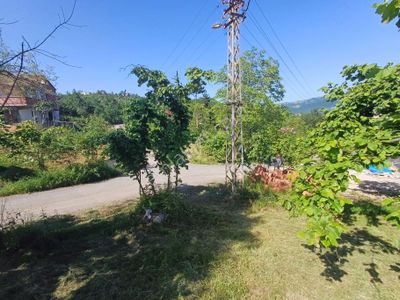 Arsa-Arazi