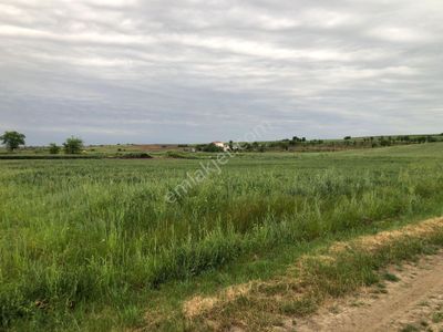 Arsa-Tarla