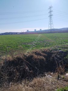 Arsa-Tarla