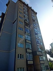 Konut-Daire